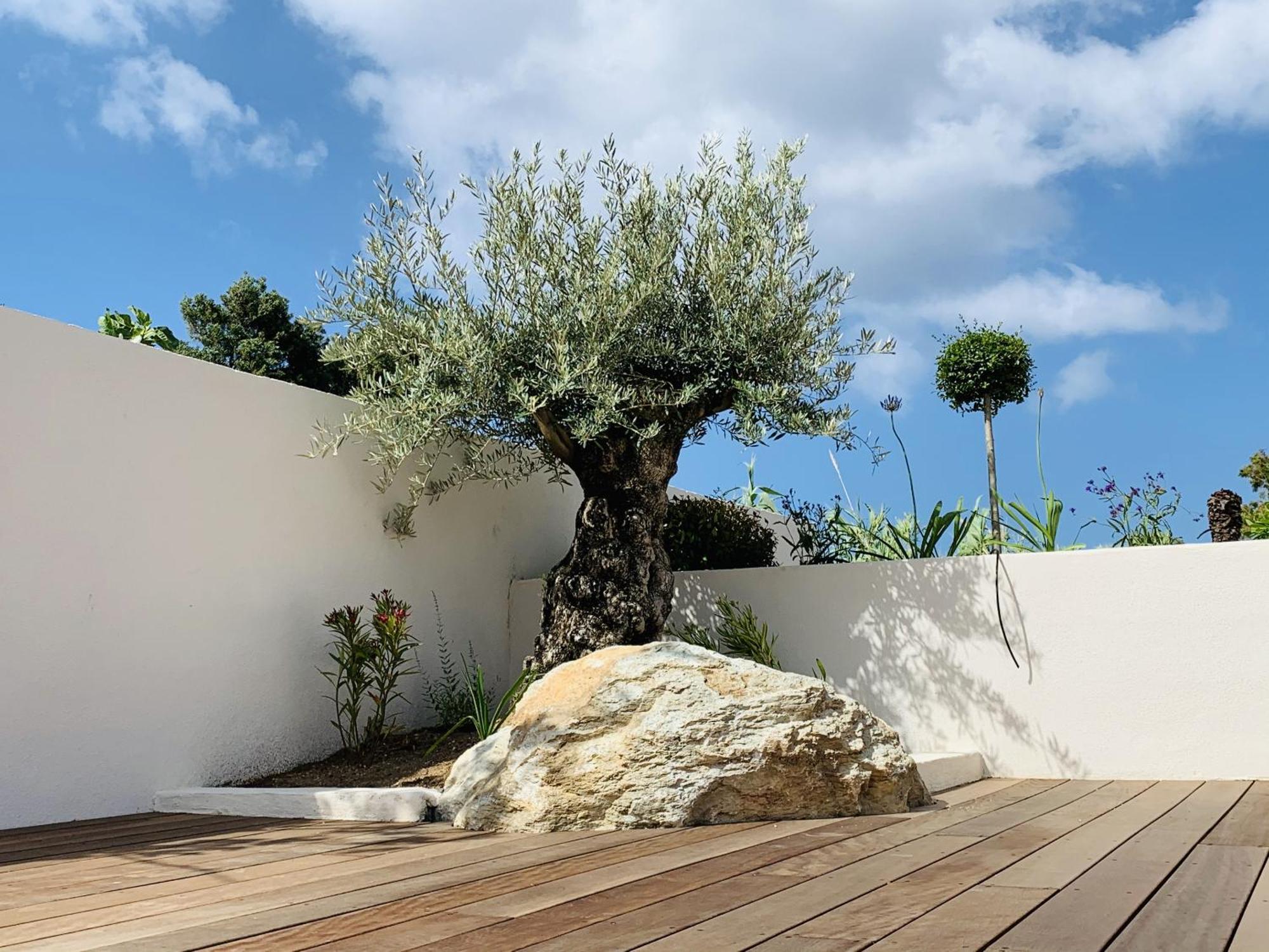 Residence Villa Branda Calvi  Exterior photo